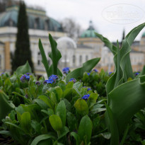 фото из отзыва ID 1360454