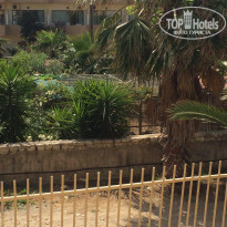 фото из отзыва ID 1360524