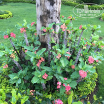 фото из отзыва ID 1360598