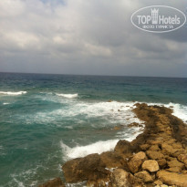 фото из отзыва ID 1360658