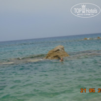 фото из отзыва ID 1360658