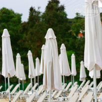 фото из отзыва ID 1360942