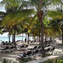 фото из отзыва ID 1361066