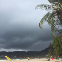 фото из отзыва ID 1361081