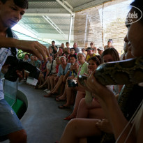 фото из отзыва ID 1361176