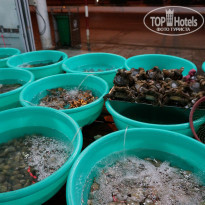 фото из отзыва ID 1361176