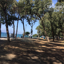 фото из отзыва ID 1361272