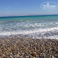 фото из отзыва ID 1361358