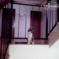 фото из отзыва ID 1361359