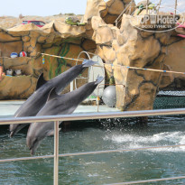 фото из отзыва ID 1361359