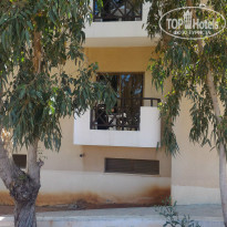 фото из отзыва ID 1360953