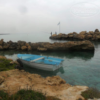 фото из отзыва ID 1360953