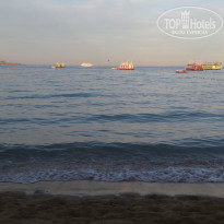 фото из отзыва ID 1361484