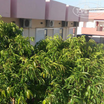 фото из отзыва ID 1361658