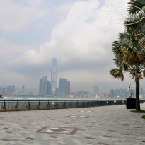 фото из отзыва ID 1361907