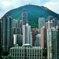 фото из отзыва ID 1361907