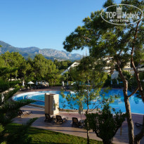 фото из отзыва ID 1361882