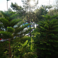 фото из отзыва ID 1361882