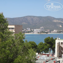 фото из отзыва ID 1362133