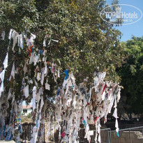 фото из отзыва ID 1362184