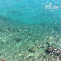 фото из отзыва ID 1362294