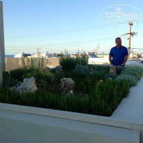 фото из отзыва ID 1362369