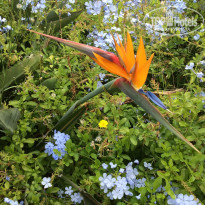 фото из отзыва ID 1362466