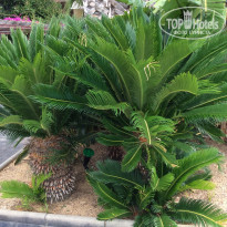 фото из отзыва ID 1362466