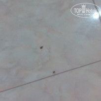 фото из отзыва ID 1362584