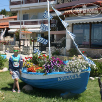 фото из отзыва ID 1362692