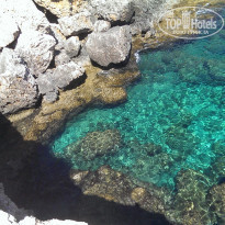 фото из отзыва ID 1362710