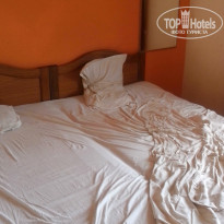 фото из отзыва ID 1362838