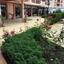 фото из отзыва ID 1362801