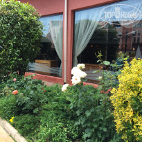 фото из отзыва ID 1362801