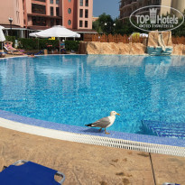 фото из отзыва ID 1362801