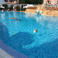 фото из отзыва ID 1362801