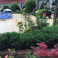 фото из отзыва ID 1362801