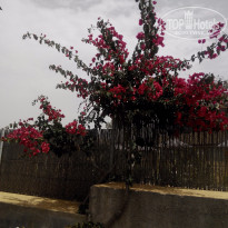 фото из отзыва ID 1362945