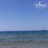 фото из отзыва ID 1362945