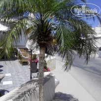 фото из отзыва ID 1362945