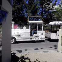 фото из отзыва ID 1362945