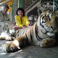 фото из отзыва ID 1363328