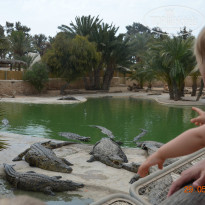 фото из отзыва ID 1362697