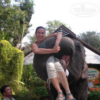 фото из отзыва ID 1363407