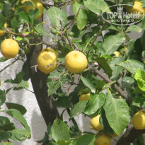 фото из отзыва ID 1363505