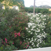 фото из отзыва ID 1363505