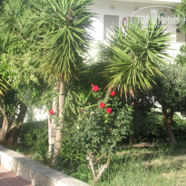 фото из отзыва ID 1363505