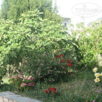 фото из отзыва ID 1363505