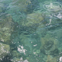 фото из отзыва ID 1363845