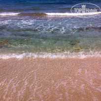 фото из отзыва ID 1363845